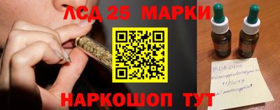 твердый Новозыбков