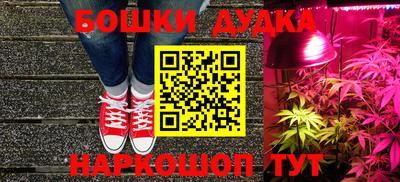 твердый Новозыбков
