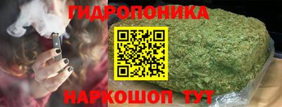 твердый Новозыбков
