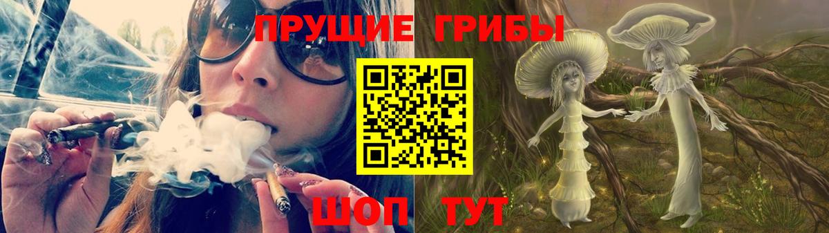Тайшет  Галлюциногенные грибы прущие грибы  Вход с VPN  Псилоцибиновые грибы Cubensis 